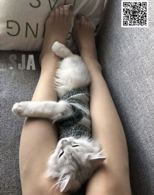 免费观看一次性a片_蓝光全集免费观看